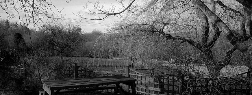 The Royal Oak Bromyard Downs