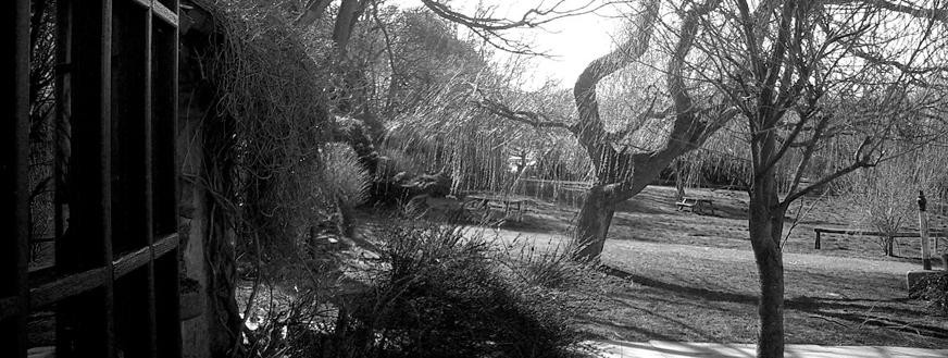 The Royal Oak Bromyard Downs